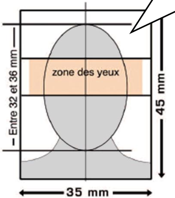 Skærmbillede 2016-08-01 kl. 20.50.58