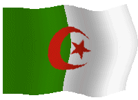 dzflag-2